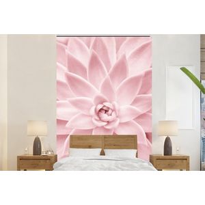 Bloem - Roze - Natuur - Plant - Behangpapier