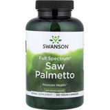 Saw Palmetto Extract - 250 Capsules - 540mg extract - Poeder van Saw Palmetto-bessen - Zaagpalm-extract - Swanson Health