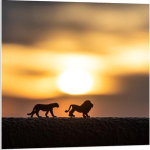 Forex - Silhouet van Miniatuur Beeldjes van Leeuwen met Zonsondergang - 80x80cm Foto op Forex