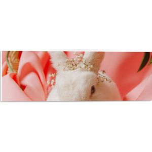 PVC Schuimplaat- Wit Konijn met Bloemenkrans tussen Roze Omgeving - 60x20 cm Foto op PVC Schuimplaat