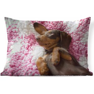 Sierkussens - Kussen - Een Teckel puppy op een roze deken - 60x40 cm - Kussen van katoen