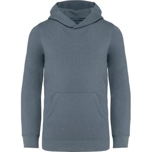 Native Spirit Ecologische kindersweater met capuchon NS404 - Mineral Grey - 4/6 years (4/6 ans)