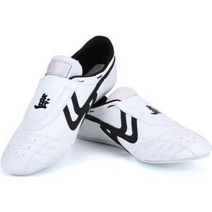 Schoenen voor Taekwondo, Boksen, Karate, TaiChi en Kung Fu Training (43) Washing Machine