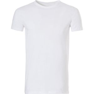 Basics t-shirt /s voor Heren | Maat S