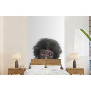 Aap - Dieren - Natuur - Chimpansee - Behangpapier