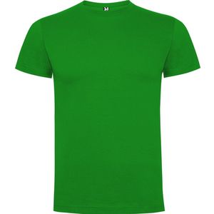 Gras groen 2 pack t-shirts Roly Dogo maat 3XL
