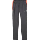 Puma individualliga trainingsbroek in de kleur grijs.