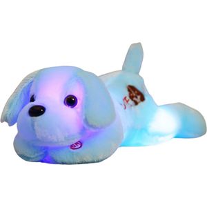 Le Cava Lichtgevende Knuffel Teddybeer Blauw 35 cm - Schattige Blauwe Pluche Hond - Speelgoed en Decoratie voor Kinderen - Cadeau Knuffel 35 cm