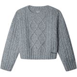 Pepe jeans  PG7000010  Truien  kind Grijs