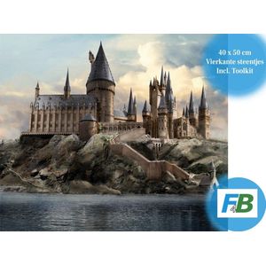 F4B Hogwarts Diamond Painting 40x50cm | Vierkante Steentjes | Harry Potter | Disney | Pakket Volwassenen en Kinderen