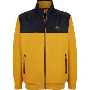 Babista - LUCIVENZA - Sweatvest - Donkergeel