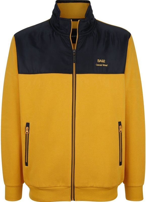 Babista - LUCIVENZA - Sweatvest - Donkergeel