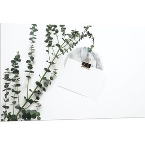 Forex - Witte Enveloppe met Groene Plant - 120x80cm Foto op Forex