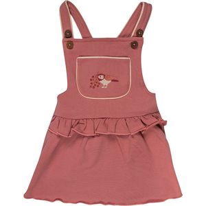 Frogs and Dogs - Jurkje met borduursel en Ruffles - - Little Robin - Roze - Maat 74 -