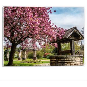 Forex - Bloesemboom boven Waterput - 40x30cm Foto op Forex
