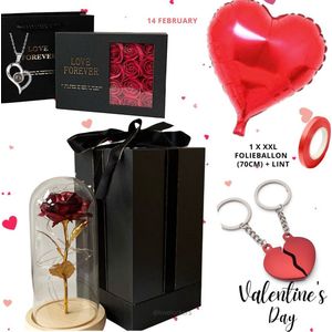 Lovelockers® | Valentijn Cadeau Pakket | Gouden Roos in Glazen Stolp | 1 x XXL Hart Folie Ballon | Hartjes Ketting in doosje met Zeeproosjes | Sleutelhanger Broken Hearts | Romatisch cadeau pakket