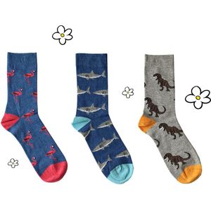 Nature Planet - set van 3 paar sokken voor volwassenen - haai - t-rex - flamingo (100% Oeko-tex gecertificeerd) maat 39-42