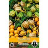 Van Hemert - Ananaskers (Physalis peruviana)