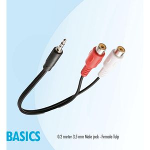 Basics 3,5 mm Jack naar Tulp RCA Verloopkabel - 0,2 m Audio Adapter