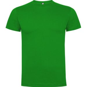 5 Pack Gras Groen t-shirts Roly Dogo Premium Kids 12 jaar 146 - 152