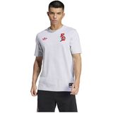 Adidas Fc Bayern Vrct T-shirt Met Korte Mouwen Grijs S Man