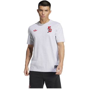 Adidas Fc Bayern Vrct T-shirt Met Korte Mouwen Grijs L Man