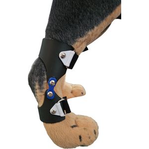 Brace, hond brace, hond pad protector, hond ankle bandage, hond ankle brace, hond spalk, hond enkel brace, hond enkel beugel maat XL.