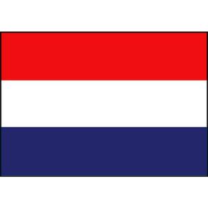 Klassieke Nederlandse vlag 20 x 30 cm