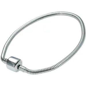 Roestvrij stalen bedelarmband 17 cm