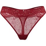 Joop! - String Beautiful - Slips - Cornflower Optik - Florale Spitzenserie
