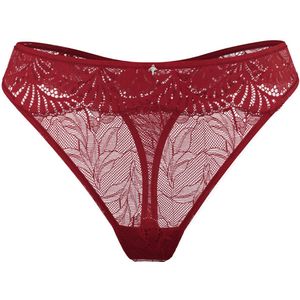 Joop! - String Beautiful - Slips - Cornflower Optik - Florale Spitzenserie