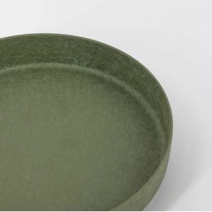 Metalen plateau/dienblad green texture