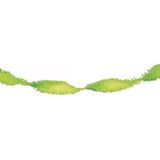 Crepe papier slingers lime groen van 6 meter - Verjaardag feestartikelen en verseirngen.