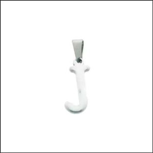 Stalen Initiaal Hanger letter Zilverkleur
