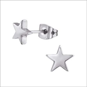 Aramat Jewels - Titanium Oorbellen - Ster Zilverkleurig - 7mm - Hypoallergeen - Cadeau - Feestdagen - Voor Haar - Sieraden - voor hem - nikkelvrij - oorknopjes