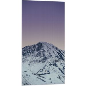 WallClassics - Vlag - Wit Besneeuwde Berg met Paarse Lucht - 50x100 cm Foto op Polyester Vlag