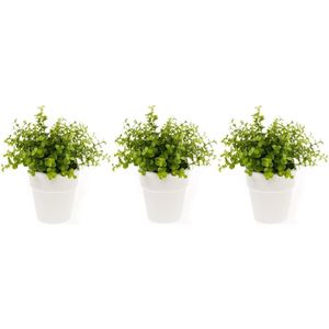 Set van 4x stuks kunstplant eucalyptus groen in pot 22 cm - Kamerplanten/kantoorplanten groene eucalyptus