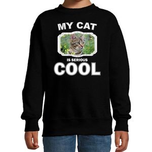 Bruine kat katten trui / sweater my cat is serious cool zwart - kinderen - katten / poezen liefhebber cadeau sweaters - kinderkleding / kleding 98/104