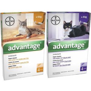 Bayer Advantage Kat 40 tot 4 kg - 4 Pipetten