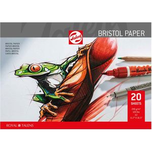 Bristol papier 20 vellen 246 gr A3