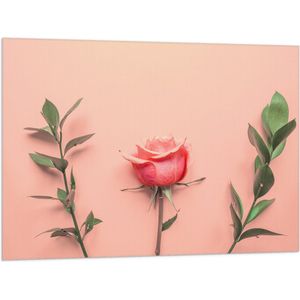 Vlag - Roze Roos bij Groene Takken op Koraalroze Achtergrond - 100x75 cm Foto op Polyester Vlag