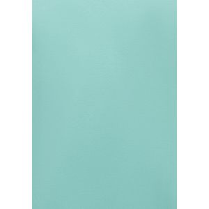 Polo Heren - Poloshirts Heren Korte Mouw - Herenpolo - Slim Fit - A150 - Mint Groen