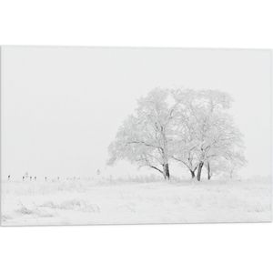 WallClassics - Vlag - Witte Natuur door Sneeuw - 60x40 cm Foto op Polyester Vlag