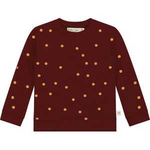 Smitten Organic Camping Sky All Over Print Pullover Long Sleeve