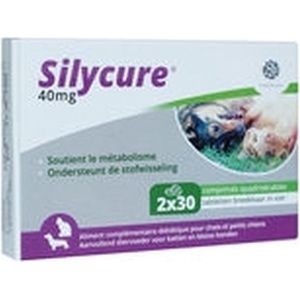 Silycure 40 mg - 60 tabletten