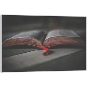 Acrylglas –Openliggend Boek -120x80 (Met ophang)