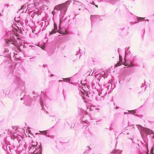 Bloemen behang Profhome 373981-GU vliesbehang glad met bloemen patroon mat roze 5,33 m2