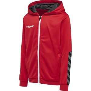 Hummel - hmlAUTHENTIC - Hoodie - Polyester