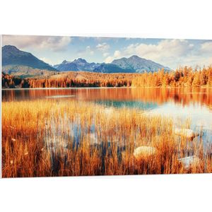 PVC Schuimplaat - Hoge Bruine Watergrassen in Meer bij Bergen - 105x70 cm Foto op PVC Schuimplaat (Met Ophangsysteem)