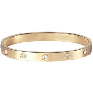 Soraro Zirkonia Armband | Heren | Dames | Goudkleurig | RVS | Armband Mannen | Armband Dames | Heren Armband | Cadeau voor Vrouw